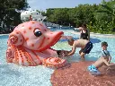 kids-baby_octopus-3-v1.webp