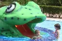 kids-frog-2-v1.webp