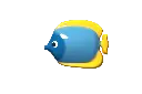 wall-fish3-2-v1.webp