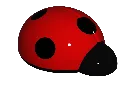 ladybug_waterspout-2-v1.webp