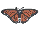 butterfly-2-v1.webp