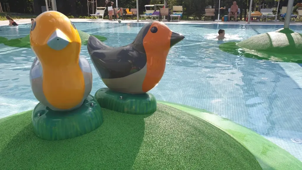 Robin Bird Waterspout