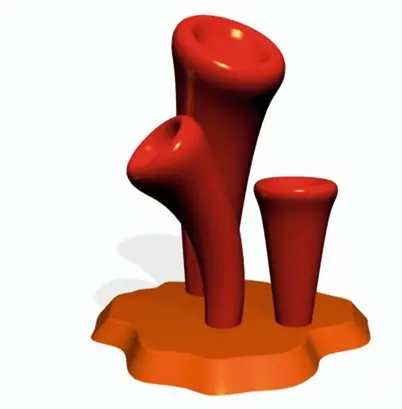 Coral 05 Giant Waterspout