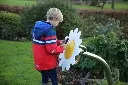 Daisy Petal Drum