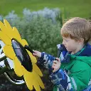 Napraforgó szirmos dob