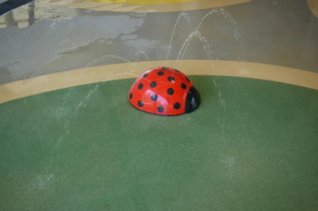 Little Ladybug Waterspout