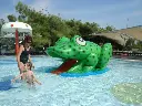 Frog Slide